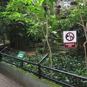 interior of one of the walk-through aviaries