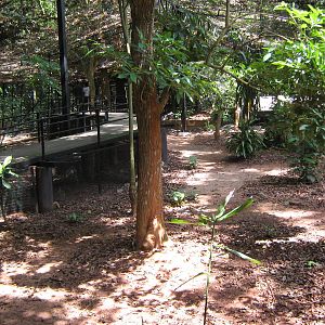 inside the Mouse Deer Park