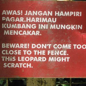 sign on leopard cage