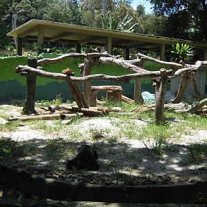 enclosure for sun bears (Ursus malayanus)