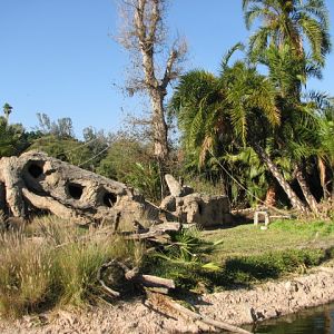 African Outpost - Colobus Monkey Exhibit