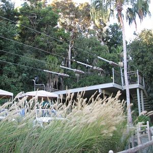 Flightline Landing in Former Australian Rainforest
