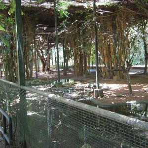interior of the walk-through waterbird aviary