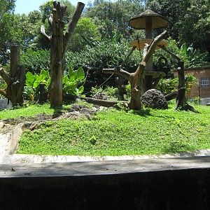 chimpanzee enclosure