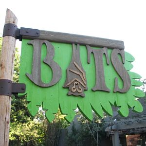 Nairobi Village - Bats