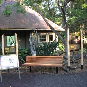 Nairobi Village - Bats