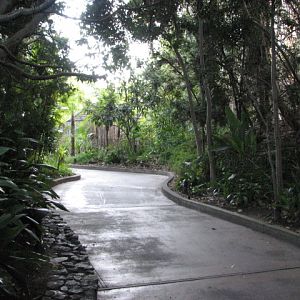 Path Near Entrance