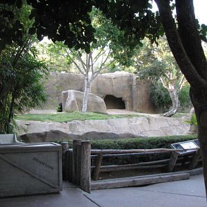 Gorilla Forest - Gorilla Habitat