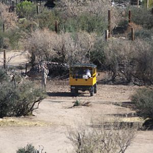 personal safari tour