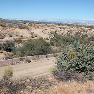 nice white rhino exhibit