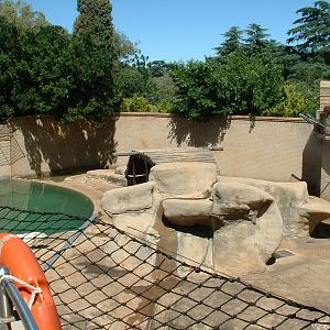 Johannesburg Zoo - Oct 2011