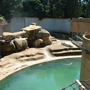 Johannesburg Zoo - Oct 2011