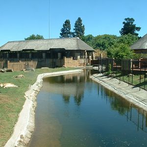 Johannesburg Zoo - Oct 2011