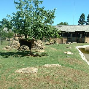 Johannesburg Zoo - Oct 2011