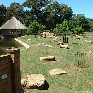 Johannesburg Zoo - Oct 2011
