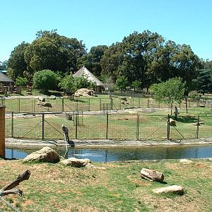 Johannesburg Zoo - Oct 2011