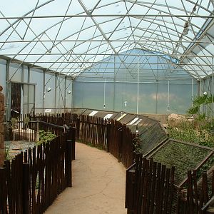 Johannesburg Zoo - Oct 2011