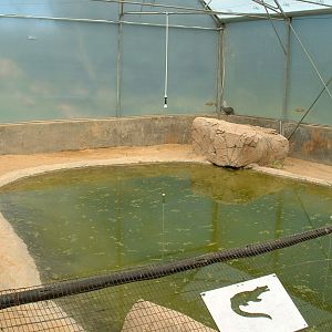 Johannesburg Zoo - Oct 2011