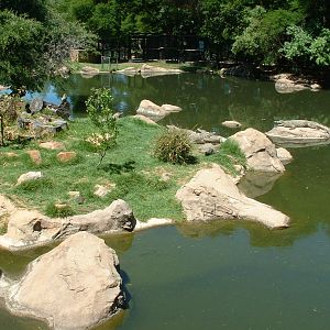 Johannesburg Zoo - Oct 2011