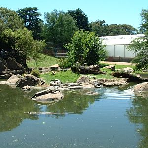 Johannesburg Zoo - Oct 2011