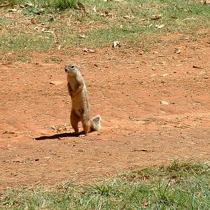 Johannesburg Zoo - Oct 2011