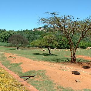 Johannesburg Zoo - Oct 2011