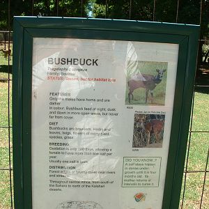 Johannesburg Zoo - Oct 2011