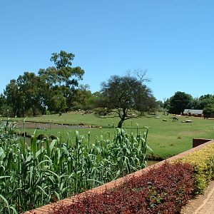 Johannesburg Zoo - Oct 2011