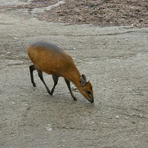 san_diego_2009_set_2_263