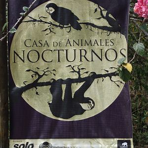 Nocturnal Animal's House signage