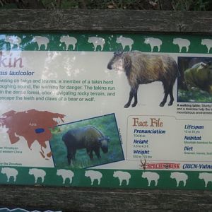 Takin Sign at Wildlife Canyon