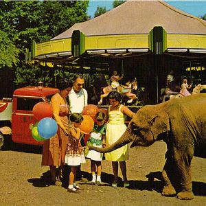 Catskill Game Farm Postcard