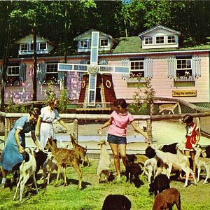 Catskill Game Farm Postcard
