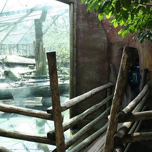 persian leopard exhibit 1