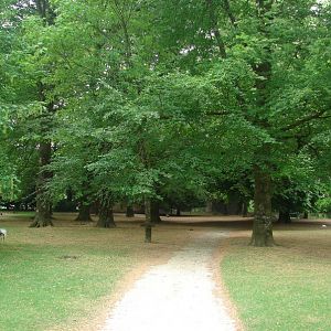 Part of the park with free-roaming animals