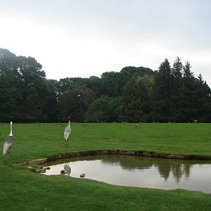 Part of the park with free-roaming animals