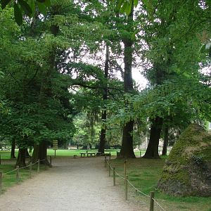 Part of the park with free-roaming animals