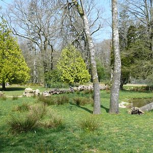 Pygmy hippopotamus exhibit