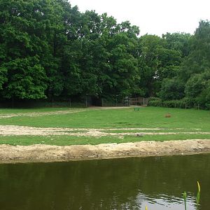 South american paddock