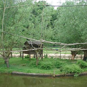 South american paddock