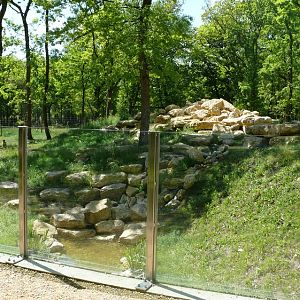 Barbary macaque exhibit