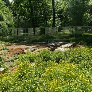 European ground squirrel exhibit
