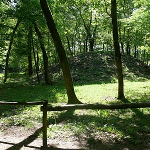 Pyrenean chamois walk-through exhibit