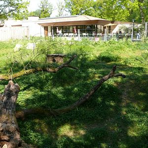 European otter exhibit