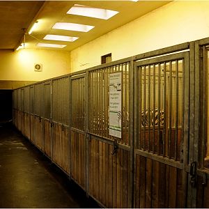 Africa-house at Hamburg