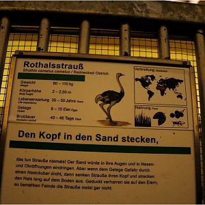 Africa-house at Hamburg