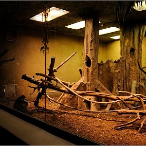 Africa-house at Hamburg