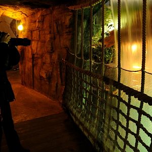 Evening in the Tropen-Aquarium at Hamburg
