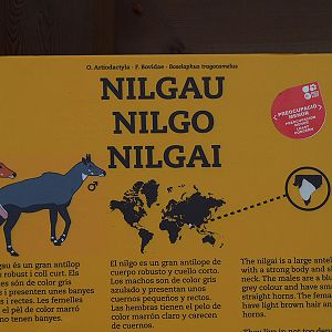 Barcelona Zoo - Color info panels