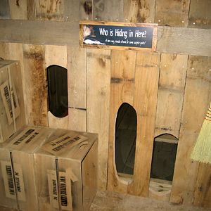 skunk exhibit-peek throughs